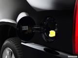  Gas cap open photo